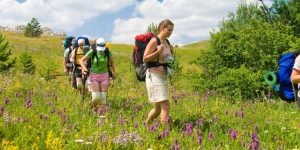 Best Camino Routes For The Social Butterfly - Travel in 2022