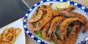 taste-seafood-camino-de-santiago-portugues