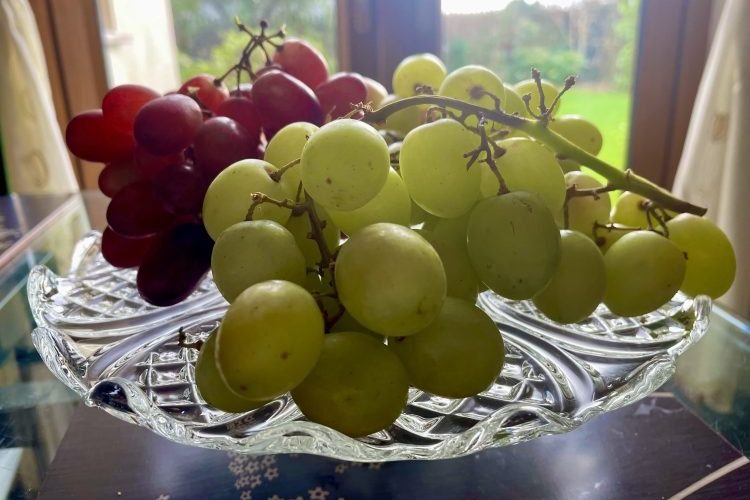 12 Lucky Grapes, New Year's Eve Tradition
