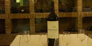 Rioja Wine Harvest Festival