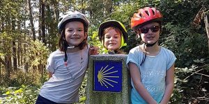 Best Family Camino Collection