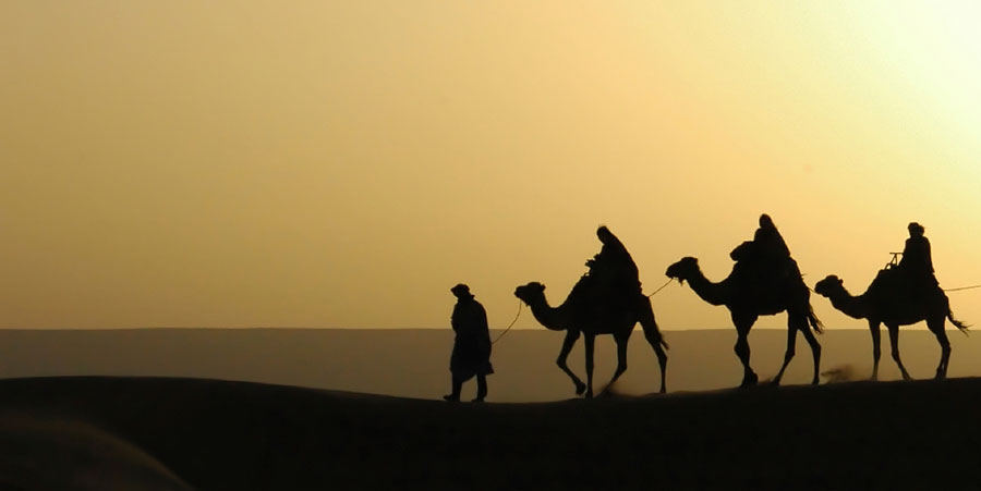 camels-camino-christmas-traditions-caminoways