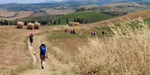 Best Camino Routes For 2022