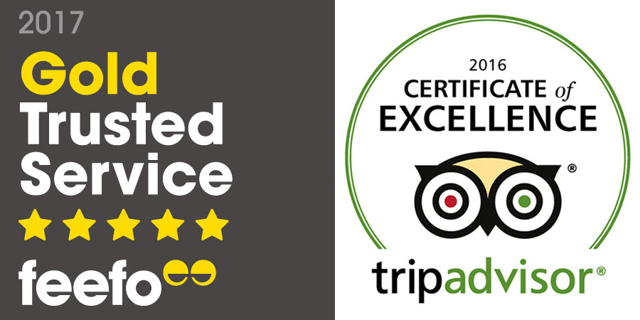 customer-reviews-excellence-caminoways