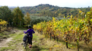 cycling-vineyards-tuscany-via-francigena-ways