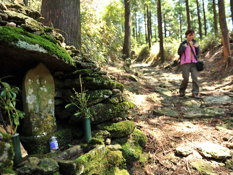 Kumano-Kodo-Ogumotori-goe-shrine-forest-caminoways