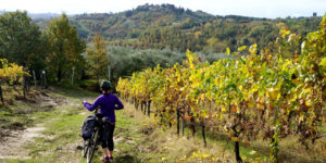 cycling-vineyards-tuscany-via-francigena-ways