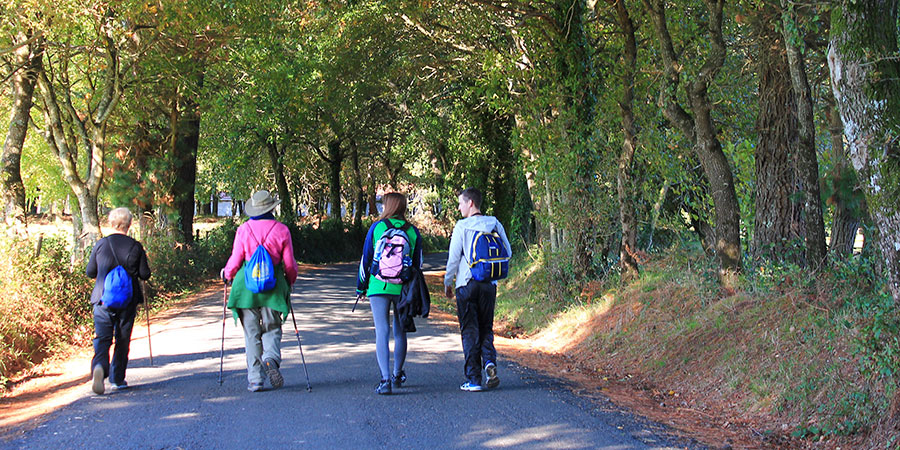 groups-walking-the-camino-with-friends-camino-frances
